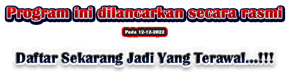wangcepat.biz pelancaran